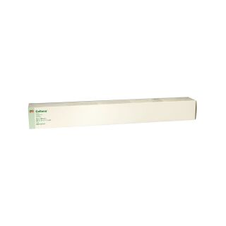 Cellona Polster 58x100cm 50811 1 ST PZN 02765497